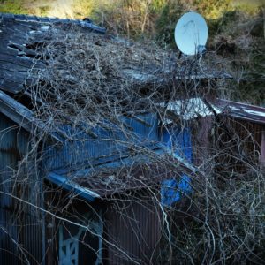 Matsushima2025D 風景の消滅Ⅲ 遊行の家