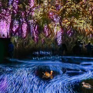 Toyoshi2025A 夢の記憶