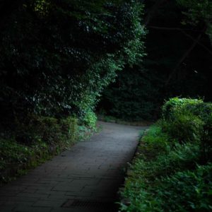 MIZUNO2025B 迷い道