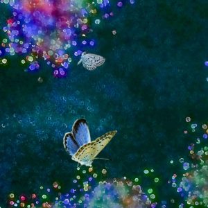 Toyoshi2025B 夢の記憶