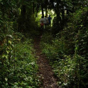 MIZUNO2025F 迷い道