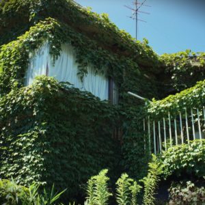 Matsushima2025B 風景の消滅Ⅲ 遊行の家