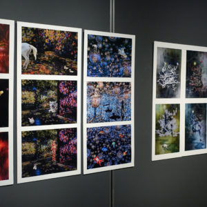 Toyoshi2025I 夢の記憶