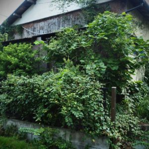 Matsushima2025G 風景の消滅Ⅲ 遊行の家