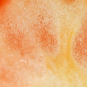 sugawara2025B 微細の詩