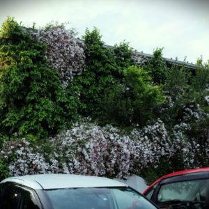 Matsushima2025F 風景の消滅Ⅲ 遊行の家