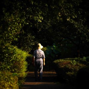 MIZUNO2025A 迷い道