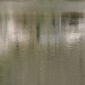 Nakatani2025B Adagio