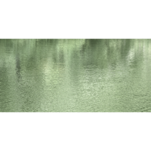 Nakatani2025D Adagio