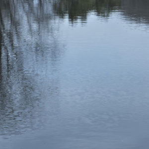 Nakatani2025F Adagio