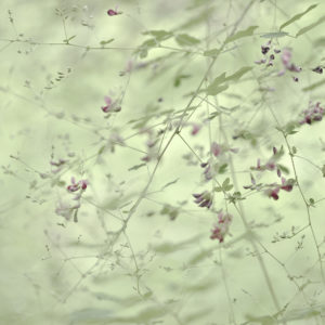 Nakatani2025G Adagio