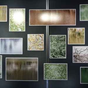 Nakatani2025H Adagio