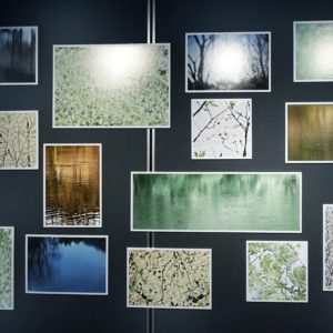 Nakatani2025I Adagio