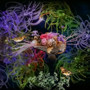 Toyoshi2025D 夢の記憶