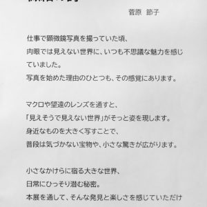 sugawara2025 微細の詩