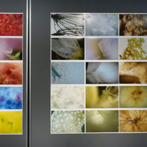 sugawara2025H 微細の詩