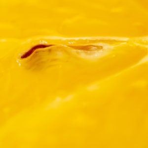 sugawara2025C 微細の詩