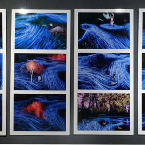 Toyoshi2025H 夢の記憶