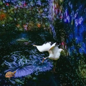 Toyoshi2025C 夢の記憶