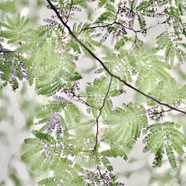 研究科コース（2025年9月17日開催）