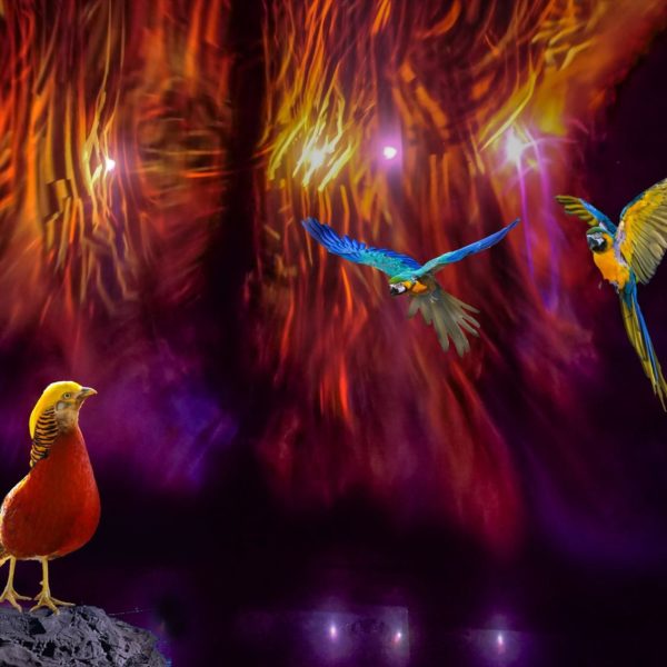 研究科コース（2025年10月15日開催）