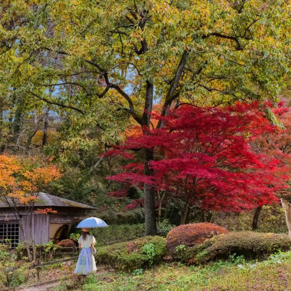 研究科コース（2026年1月21日開催）